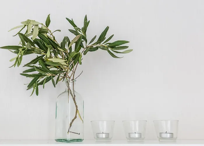 Case de vacanță The Cute House Skopelos